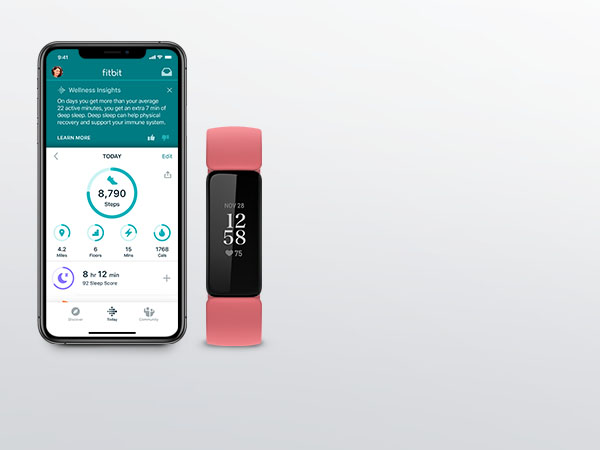 It all fits together